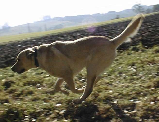 speed01.jpg