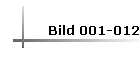 Bild 001-012